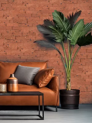 PIEDRIN GALINDO ROJO