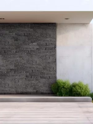 PIEDRIN NEGRO CORONEO