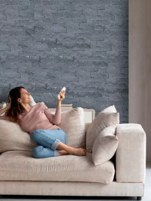 PIEDRIN RECINTO NEGRO